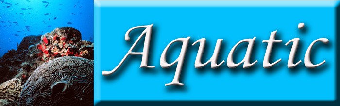 Aquatic (Sub)