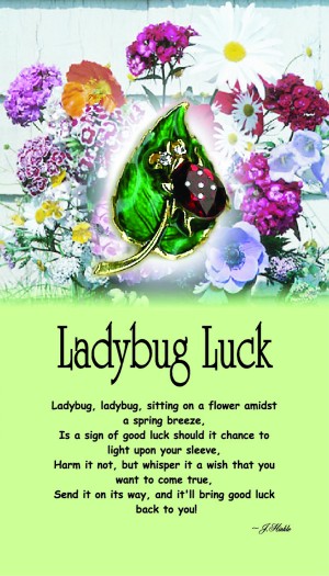 Luck Be a Ladybug  South Carolina Aquarium