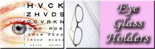 Eyeglass Holder Pins