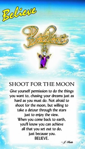 Shoot For The Moon