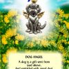 Dog Angel
