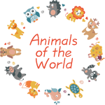 Animals, Birds and More